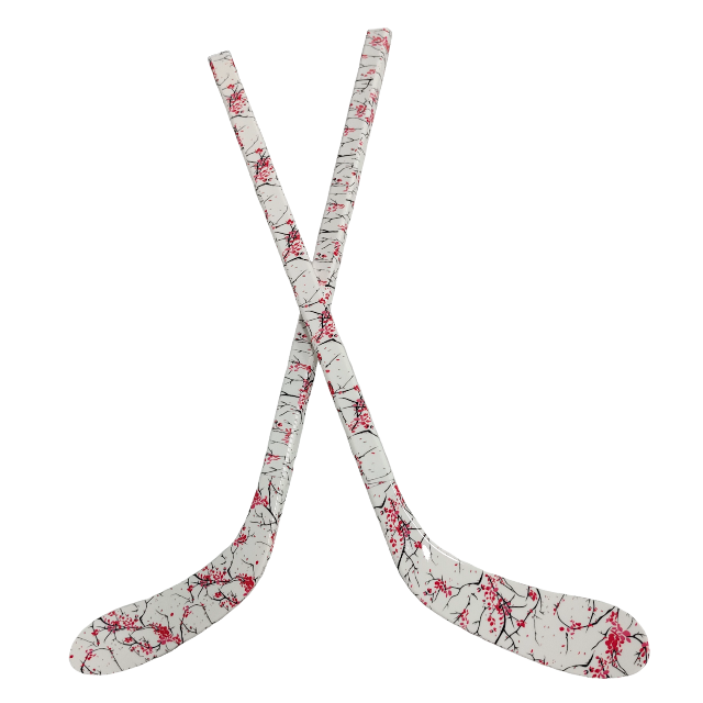 Langlebiges ABS-Eishockeystick – Kids Outdoor Ideas Bewertung und Preis